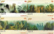 China - China Telecom (Magnetic) - P0136 - Complete Set 4 Zhang ''Jia Jie'', Exp.31.12.2002, 30¥, Used - China