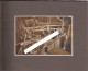 Delcampe - 60 LONGUEIL SAINTE MARIE - SUCRERIE Et DISTILLERIE  Rare Album De 25 Photos Originales Novembre 1924 Photo CHEVOJON - Longueil Annel