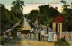 PC BAHAMAS CARIBBEAN NASSAU ON THE ROAD TO BLUE HILLS Vintage Postcard (b52218) - Bahama's