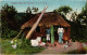 PC VIRGIN ISLANDS ST. THOMAS NATIVE HUT Vintage Postcard (b52263) - Isole Vergine Britanniche