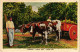 PC COSTA RICA CARRETA OXEN CAR TYPES Vintage Postcard (b52238) - Costa Rica