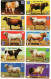 Série Complète De 12 Télécartes Brésil Vache Cow   Télécarte Phonecard  (G 1081) - Brésil