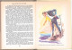 Hachette - Idéal Bibliothèque - Jules Verne - "Vingt Mille Lieues Sous Les Mers (T1)" - 1966 - #Ben&JVerne - #Ben&IB - Ideal Bibliotheque