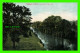 SMITHS FALLS, ONTARIO - RIDEAU RIVER - ILLUSTRATED POST CARD CO - - Sonstige & Ohne Zuordnung