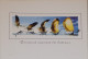 Petit Calendrier 2005  Comment Naissent Les Bateaux Illustration RUBEX - Tamaño Pequeño : 2001-...