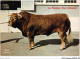 AIDP2-TAUREAUX-0148 - Le Bonjour D'un Limousin  - Bull