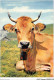 AIDP2-TAUREAUX-0133 - La Reine Des Vaches  - Bull