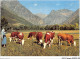 AIDP2-TAUREAUX-0127 - Les Alpes Pittoresques - Vaches Au Pâturage  - Taureaux
