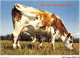 AIDP2-TAUREAUX-0125 - Ici On Mange Bien  - Bull