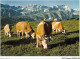 AIDP2-TAUREAUX-0117 - Les Alpes Pittoresques - Vaches En Haute Montagne  - Stiere