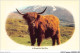 AIDP2-TAUREAUX-0099 - A Monarch Of The Glen  - Tauri