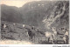 AIDP2-TAUREAUX-0076 - Luchon - Passage De La Picade - Vue Sur Le Pic De La Mine  - Taureaux