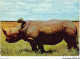 AIDP8-ANIMAUX-0729 - Kenya - Rhinocéros  - Neushoorn