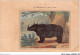 AIDP7-ANIMAUX-0663 - Le Rhinoceros â Une Corne  - Neushoorn