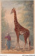 AIDP7-ANIMAUX-0628 - Girafe  - Giraffes
