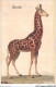 AIDP7-ANIMAUX-0627 - Girafe  - Jirafas