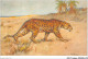 AIDP7-ANIMAUX-0622 - Tigre  - Tigri