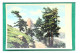 CARTOLINA POSTALE VIAGGIATA 1955 MONTAGANO (CAMPOBASSO), MOLISE, ITALIA: PAESAGGIO 0085 POSTCARD - Campobasso