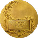 Algeria, Médaille, Centenaire De L'Algérie, F.E.A, 1930, Aubé, SUP, Bronze - Andere & Zonder Classificatie