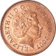 Monnaie, Grande-Bretagne, Penny, 2007 - 1 Penny & 1 New Penny