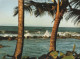 121988 - Barbados - Barbados - Brandung - Barbados (Barbuda)