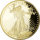 États-Unis, Médaille, Copy Twenty Dollars, Liberty, FDC, Copper Gilt - Autres & Non Classés
