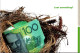 10-3-2024 (2 Y 40)  Lost Something ? ($ 100 Banknote In Bird Nest) - Banche