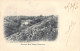 GUERNSEY - Fermain Bay Valley - Publ. T. B. Banks & Co.'s Series  - Guernsey