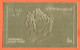 7280 / ⭐ ♥️ Rare NAPOLEON & MARIE-LOUISE  Timbre ** Gauffré OR DHUFAR 5 Rial State Of OMAN Non-Dentelé Gold Stamp Mint  - Napoleon