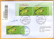 2023  Moldova Used FDC  Fauna, Nature „Red Book Of Republic Of Moldova. Reptiles And Batrachians.” - Frösche