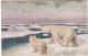 NORWAY - POLAR CRUISE - POLHAVET 23-02-1926 POSTAL CARD - Very Rare And HV - Brieven En Documenten