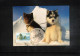 Australian Antarctic Territory 1995 Antarctica - Base Casey - Penguins + Huskies Interesting Cover - Onderzoeksstations