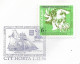 Portugal Cachet Commemoratif Albert I Monaco Au Faial Horta Açores 1996 Event Postmark Azores - Sellados Mecánicos ( Publicitario)