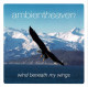 Ambient Heaven - Wind Beneath My Wings. CD - New Age