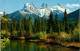 11-3-2025 (2 Y 42) Canada - Canadian Rockies Mountains  (2 Postcards) - Arbres