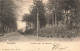 BELGIQUE -  Bruxelles - Vue Sur L'avenue Louise  - Les Araucacias - Carte Postale Ancienne - Lanen, Boulevards