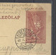 Hungary, St. Card, 12 Fiilér,Beregszász (Berehovo), 1942. - Entiers Postaux