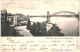 CPA Carte Postale Germany Bonn Blick Vom Alten Zoll Zur  Rheinbrücke 1904 VM78412 - Bonn