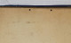 Delcampe - Grand Calendrier éphéméride Original Circa 1900 - Fine Bretagne Théophile Guillon Nantes - F. Champenois - 53,5x36,5 Cm - Groot Formaat: ...-1900