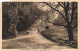 FRANCE - Saint Omer (P De C) - Vue Générale Sur Le Jardin Public - Une Allée - Carte Postale Ancienne - Saint Omer