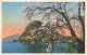SUISSE -  Primavera A Lugano - Colorisé - Carte Postale Ancienne - Lugano