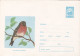 BIRD , UNUSED,  COD. 186 1965 , COVERS STATIONERY   ROMANIA - Ganzsachen