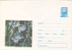 FLOWER , UNUSED,   COD. 24/72 , COVERS STATIONERY   ROMANIA - Ganzsachen