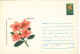 FLOWER , UNUSED,   COD. 0100/74 , COVERS STATIONERY   ROMANIA - Ganzsachen