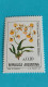 ARGENTINE - ARGENTINA - Timbre 1986 - Fleurs - Orchidée Flor De Patito (oncidium Bifolium) - Nuovi