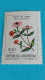 ARGENTINE - ARGENTINA - Timbre 1985 - Fleurs - Chinita Del Campo (zinnia Peruvianoa) - Ongebruikt