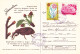 ADVERTISING THE FIGHTING OF PESTS,  UNUSED,  COD. 137/5043/74,  POST CARD STATIONERY   ROMANIA - Ganzsachen