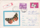 BUTTERFLY,  USED,  COD. 477/71,  COVERS STATIONERY   ROMANIA - Ganzsachen