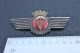 Spanish Parachustist Jump Badge Civil War Facist Republican Spain Ww2 Insignia Brevet Insigne Parachutiste Espagnol - España