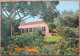 ISRAEL KIBBUTZ MISHMAR HASHARON AK CARD SHANA TOVA NEW YEAR JUDAICA PC CP POSTKARTE CARTE POSTALE POSTCARD ANSICHTSKARTE - Etiquettes D'hotels